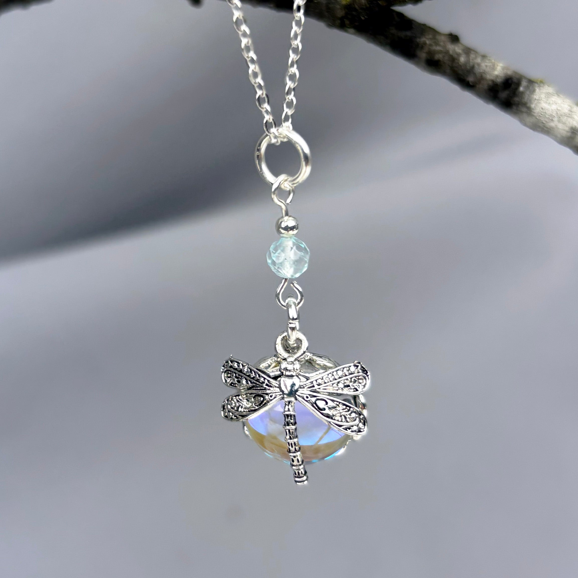 Dragonfly on Raindrop
